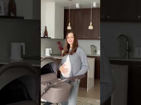 Anex IQ all-in-one dječja kolica (košara, sportski dio i buggy)