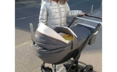 starletweb starletweb